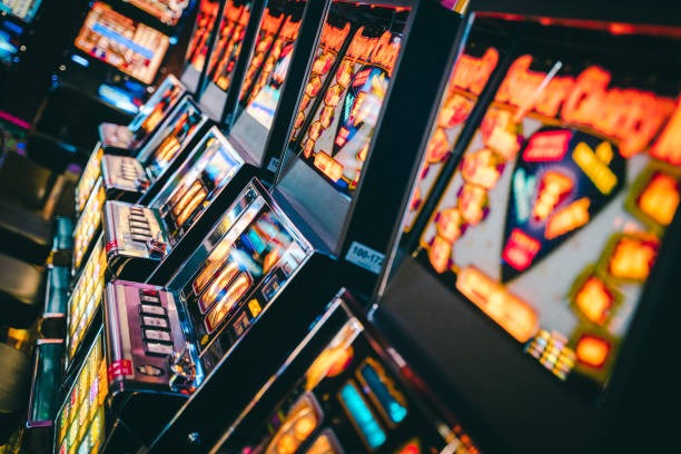 aleksi togel referral rewards dashboard